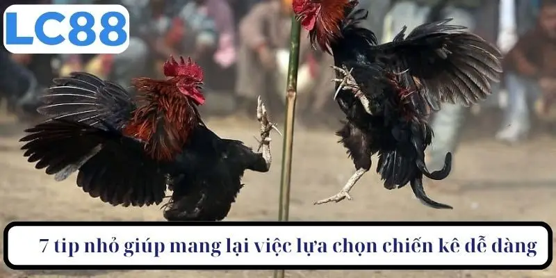 7 tip nhỏ giúp mang lại việc lựa chọn chiến kê dễ dàng