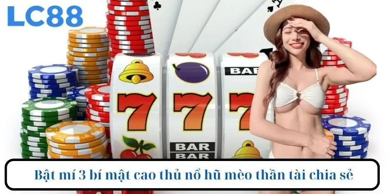Bật mí 3 bí mật cao thủ nổ hũ mèo thần tài chia sẻ