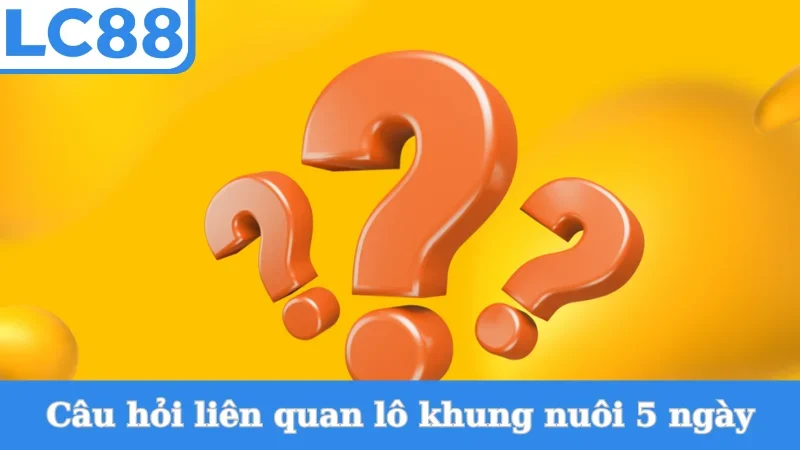 Chiến thuật vào tiền nuôi lô 5 ngày