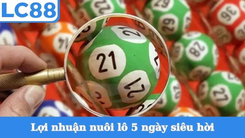 Lợi nhuận nuôi lô khung 5 ngày siêu hời